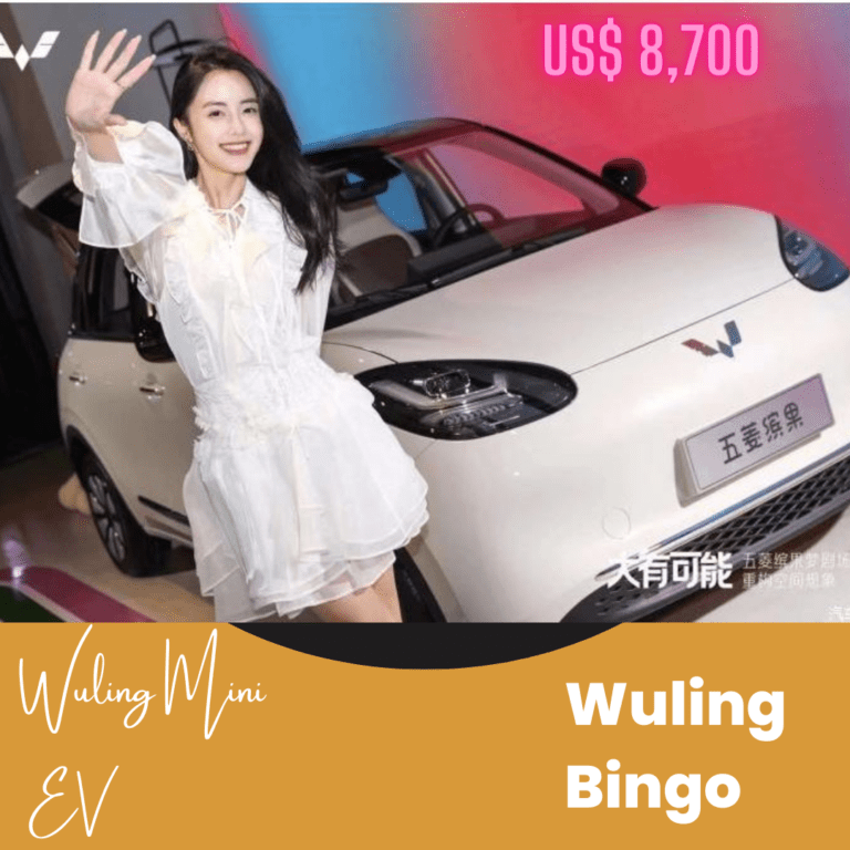 Wuling Mini EV