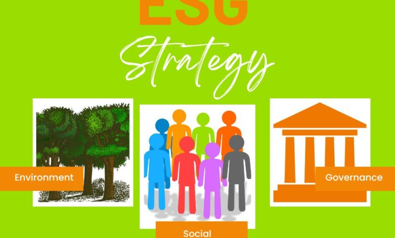 How to Develop an ESG Strategy