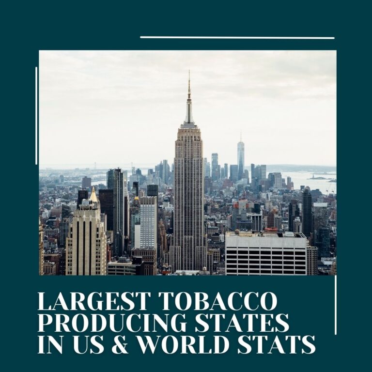 Largest Tobacco Producing States in US