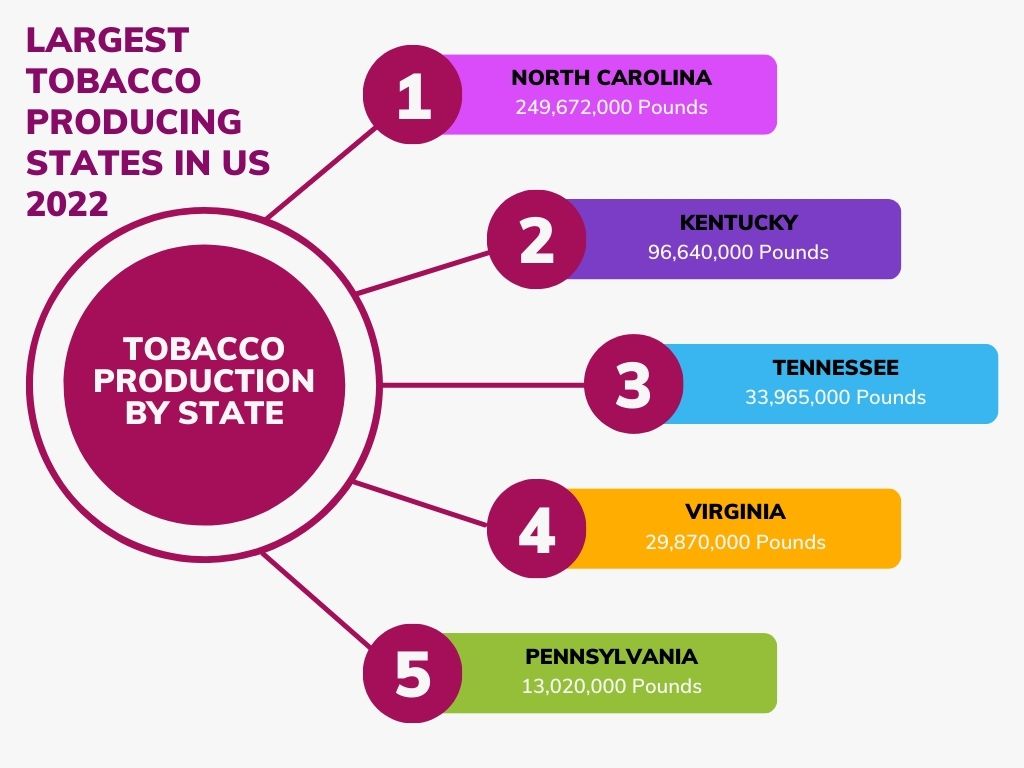 Largest Tobacco Producing States in US 2022