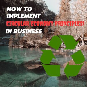 How to Implement Circular Economy Principles in Business